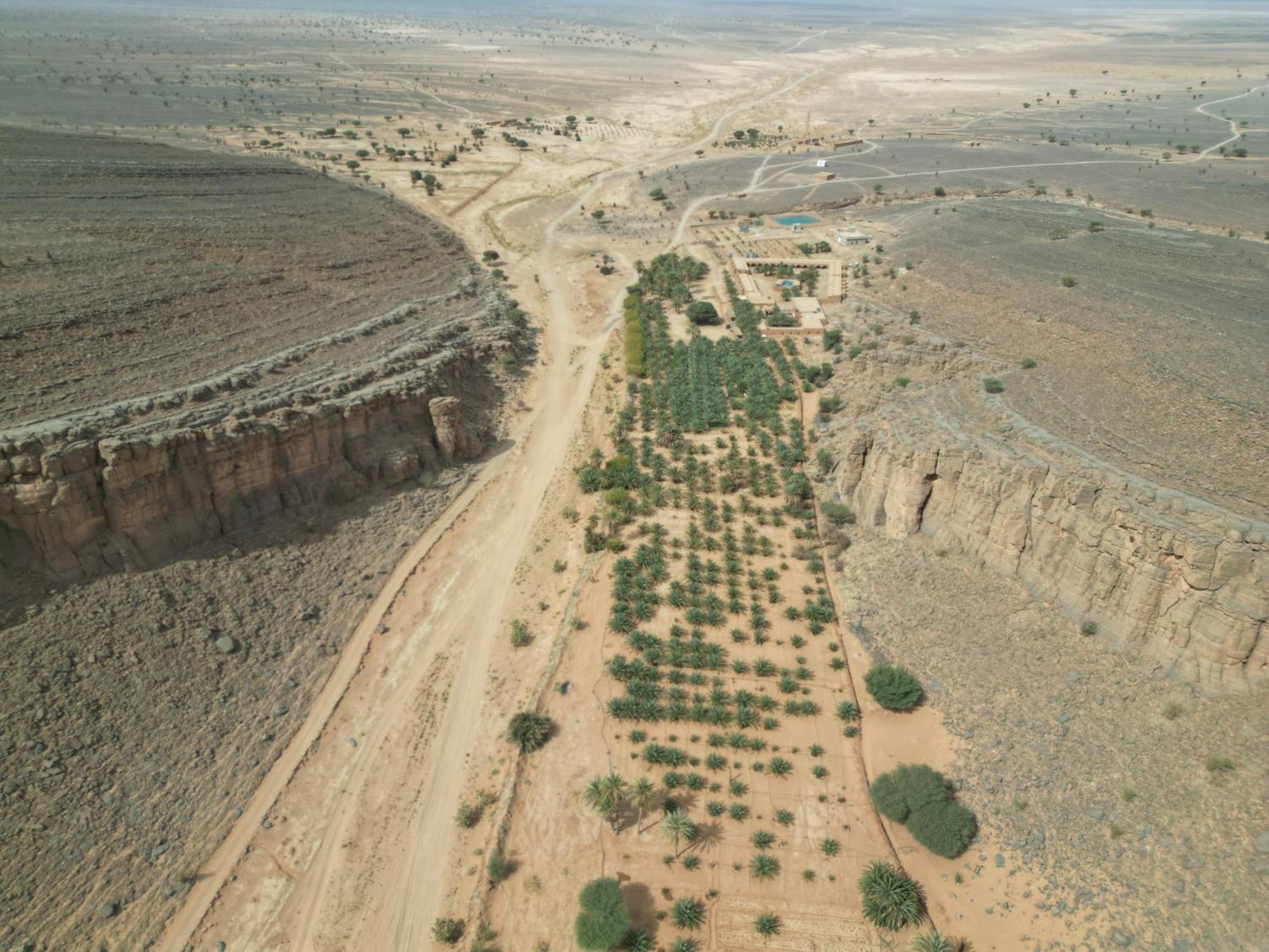 فندق Desert Boutique 5*